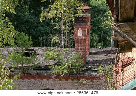 Ruins Of Beelitz-heilstätten Lost Place Berlin Brandenburg;
