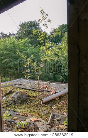 Ruins Of Beelitz-heilstätten Lost Place Berlin Brandenburg;