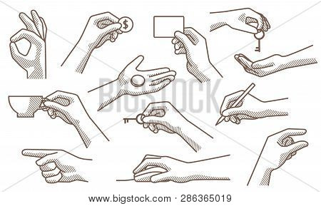 Hand Gestures Set Vector Illustration A A