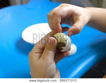 Baby Holding Quail Egg, Healthy Lifestyle. Diet Food