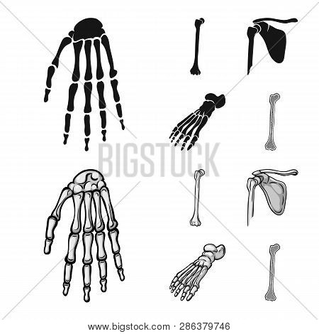 Vector Design Of Medicine And Clinic Icon. Set Of Medicine And Medical Vector Icon For Stock.