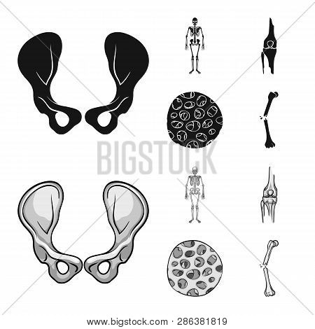 Vector Illustration Of Medicine And Clinic Symbol. Set Of Medicine And Medical Stock Vector Illustra