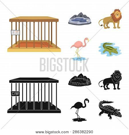 Vector Illustration Of Nature  And Fun  Logo. Collection Of Nature  And Entertainment Stock Vector I