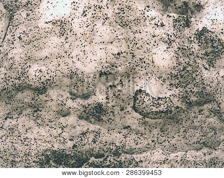 Snow On Artifical Football Field With Dots Of Milled Rubber Scales. Winter Condition Season In Popul