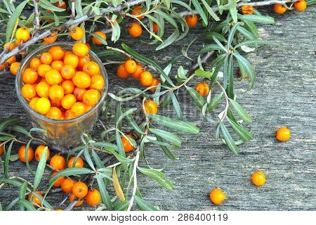 Berries And Leaves Of Sea-buckthorn On A Wooden Background. The Harvest Of Sea-buckthorn.
