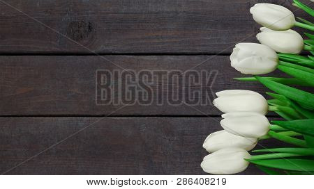 Dark Brown Background With White Tulip Flowers