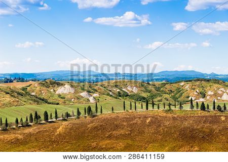Road And Cypresses On A Hill Near Asciano In Crete Senesi, Tuscany, Italy