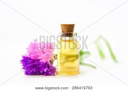 Essence Of Flowers On White Background In Beautiful Glass Bottle
