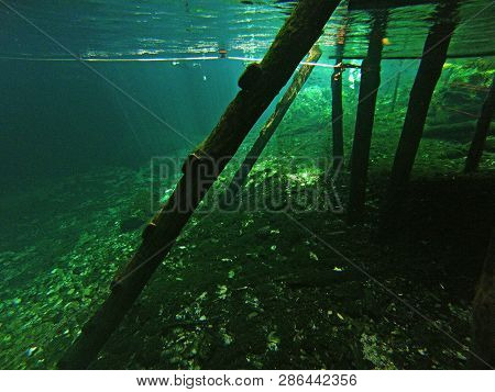 Diving Cenotes Mexico Underwater World Caves Sport