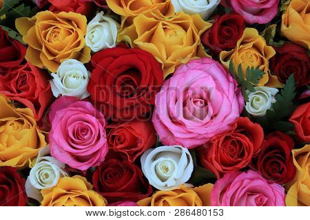 Wedding Flowers, Roses In Several Bright Colors: Red, Pnk, Yellow And White