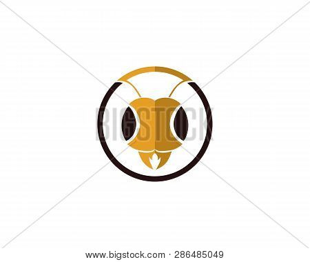 Ant Head Logo Template Vector Illustration