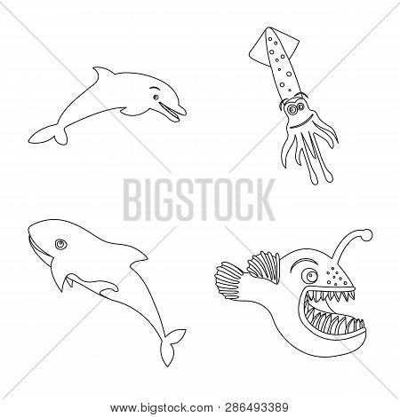 Isolated Object Of Sea And Animal Symbol. Collection Of Sea And Marine Stock Vector Illustration.