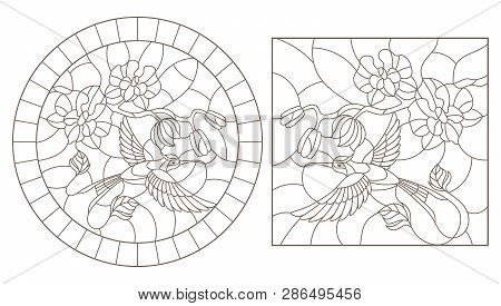 A Set Of Contour Illustrations Of Stained Glass Windows With Hummingbird  And Orchids, Round And Rec