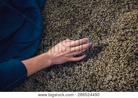 Cinematic View Of Thoughtfull Woman In Depression Touching The Stone Moss In Nature And Exchanging E