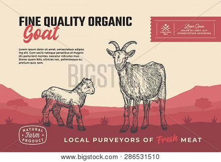 Fine Quality Organic Goat. Abstract Vector Meat Packaging Design Or Label. Modern Typography And Han