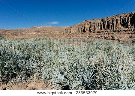 Morocco Tourism: Trekking Man In Mountains. Atlas Mountains, Jebel Sakhro (djebel Sahro), Ourzazate,