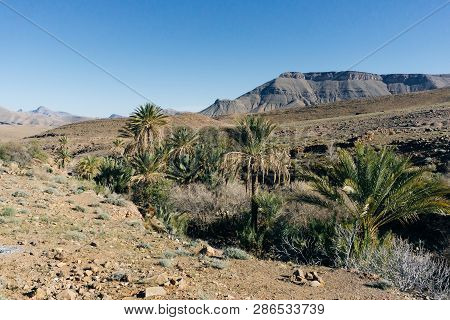 Morocco Tourism: Trekking Man In Mountains. Atlas Mountains, Jebel Sakhro (djebel Sahro), Ourzazate,