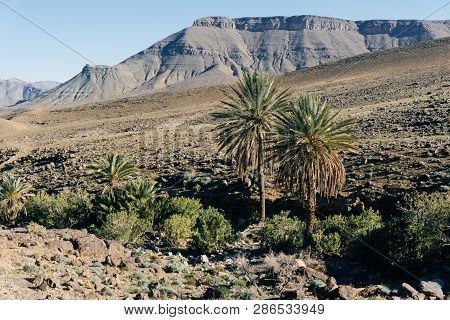 Morocco Tourism: Trekking Man In Mountains. Atlas Mountains, Jebel Sakhro (djebel Sahro), Ourzazate,