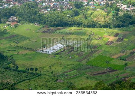 Aerial View Of Forest Nature At Batu Malang City In East Java, Indonesia. One Of The Best Destinatio
