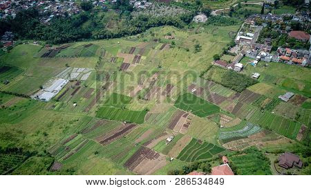 Aerial View Of Forest Nature At Batu Malang City In East Java, Indonesia. One Of The Best Destinatio
