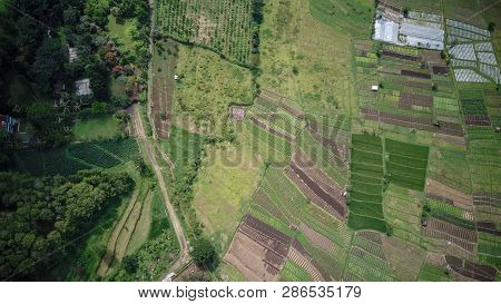 Aerial View Of Forest Nature At Batu Malang City In East Java, Indonesia. One Of The Best Destinatio