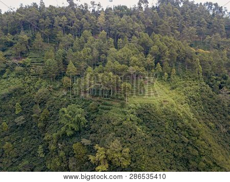 Aerial View Of Forest Nature At Batu Malang City In East Java, Indonesia. One Of The Best Destinatio