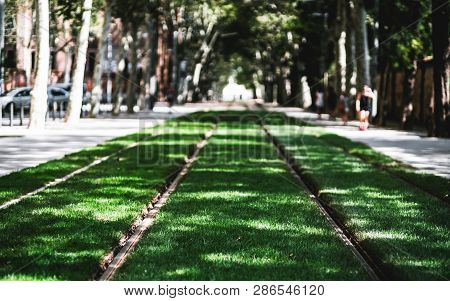 View Of Two Tramway Tracks Stretching Into The Vanishing Point, Overgrown With Green Grass Lawn, Bar