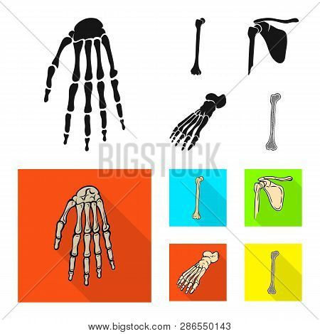Vector Design Of Medicine And Clinic Sign. Set Of Medicine And Medical Stock Vector Illustration.