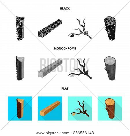 Vector Design Of Tree   And Raw  Symbol. Collection Of Tree   And Construction Vector Icon For Stock