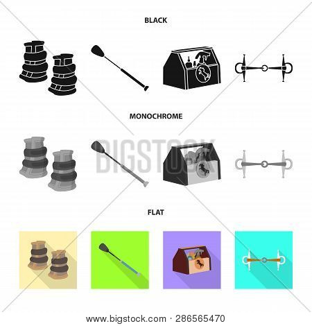 Vector Illustration Of Equipment And Riding Logo. Set Of Equipment And Competition Vector Icon For S