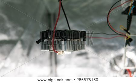 Professional Cree Led Matrix In Growing Marijuana.