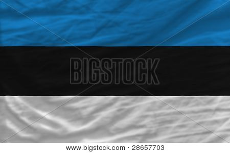Kompletní zamával státní vlajka Estonska na pozadí