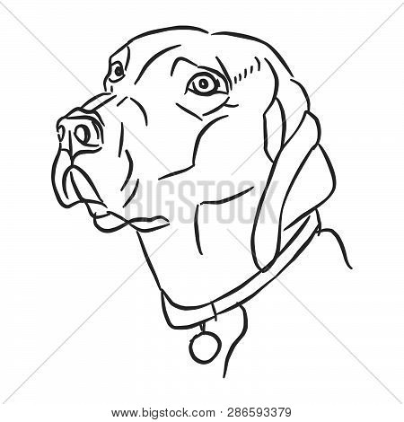 Dog Head Icon. Vector &amp; Photo (Free Trial) | Bigstock