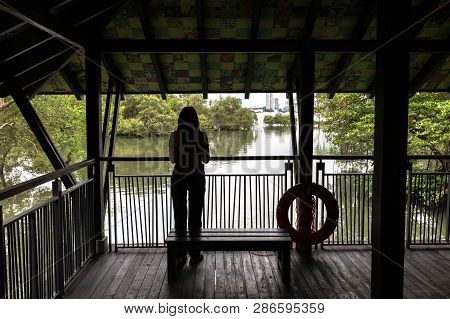 Singapore - December 2018: Woman Watching The Beautiful Nature From Inside The Mangrove Walk Pavilio