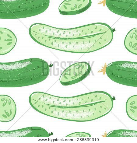 Seamless Pattern With Whole, Half And Sliced Cucumber, Textured Vector Illustration On White Backgro