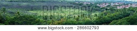 Panoramic View Of Makaha Valley On The West Coast Of Oahu