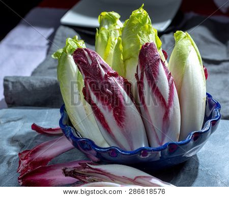 Group Of Fresh Green Belgian Endive Or Chicory And Red Radicchio Vegetables, Also Known As Witlof Sa