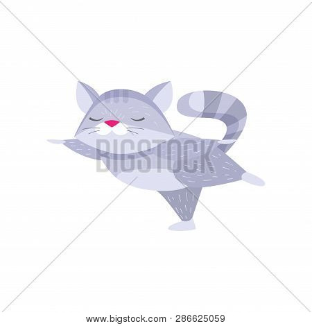 Cute Raccoon Doing Swallow Exercise And Meditating Isolated On White Background
