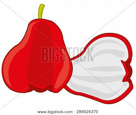 Fruit Chompu On White Background Is Insulated