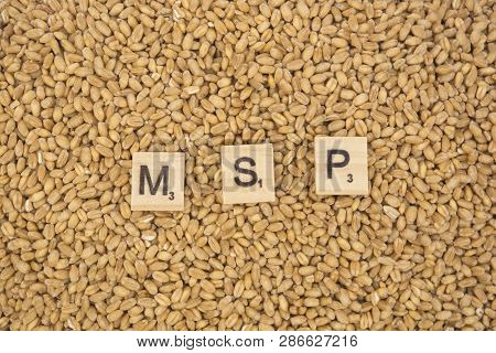 Maski,karnataka,india - January 19,2019 : Concept Of Msp Or Minimum Support Price Of Wooden Blocks O