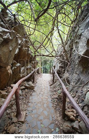 Walkway And Handrails To Go To Ancient Forest Hup Pa Tat In Uthai Thani, Thailand.