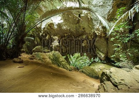 The Famous Travel Destinations Ancient Forest Hup Pa Tat In Uthai Thani, Thailand.