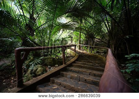 The Famous Travel Destinations Ancient Forest Hup Pa Tat In Uthai Thani, Thailand.