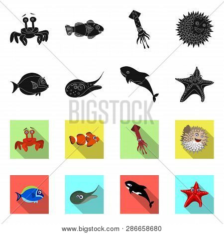 Vector Illustration Of Sea And Animal Icon. Collection Of Sea And Marine Vector Icon For Stock.