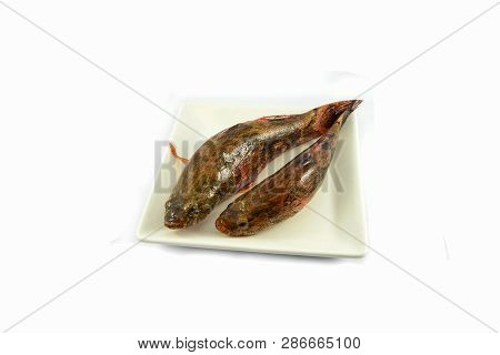 Fresh Goby River Fish Freshwater Isolated On White Background