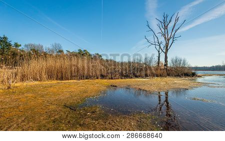 Silhouettes Of Two Dead Trees Reflected In The Water Surface Of A Mere Of The Galderse Heide, A Natu