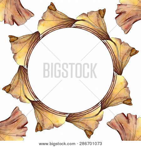 Green Red Ginkgo Biloba Leaves.watercolor Background Illustration Set. Frame Border Ornament Square.