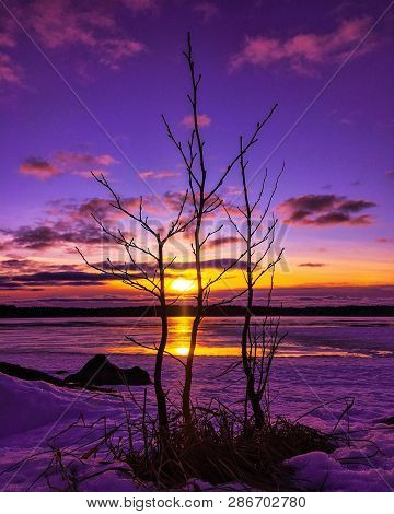 Beautiful Winter Evening Sunset In Finland Nature Naturephotography Photography Colorful Spring View