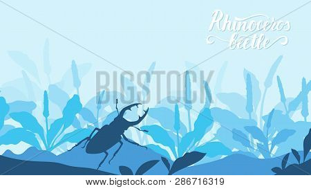 Beetle Rhino Climbs On A Stone In The Grass Background. Life Of Insects In The Wild Illustration. Be