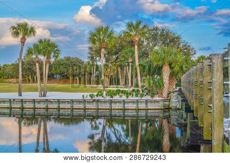 Palm Trees On Lake Vedra. Ponte Vedra Beach, Florida